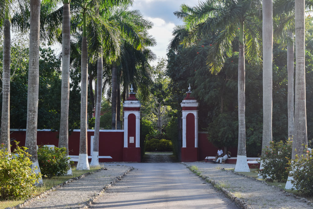 Au bout de cette allée bordée de palmiers, l’entrée de l’Hacienda Temozon © Yonder.fr