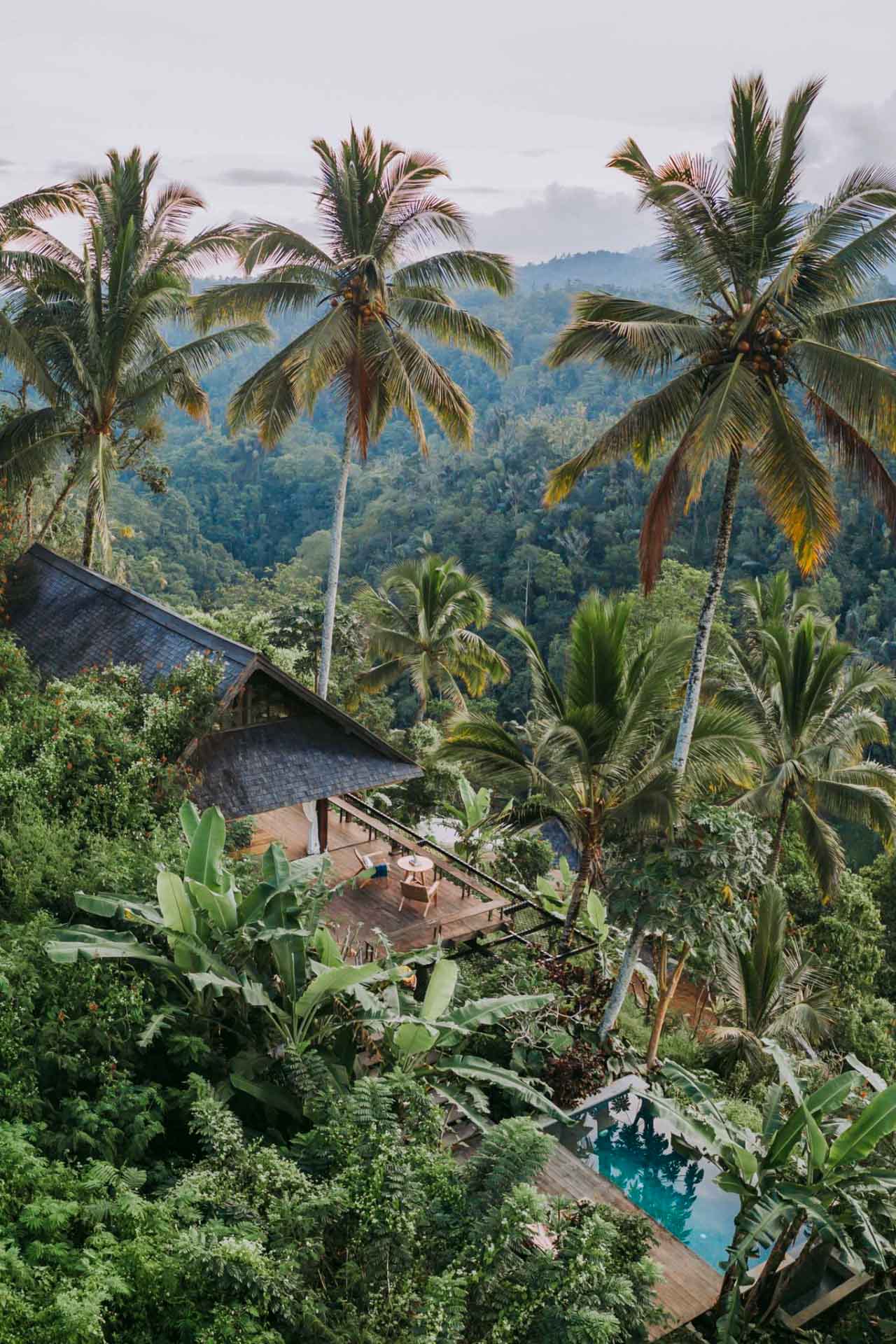 Les secrets de la cuisine asiatique à la maison - Le Journal L'Horizon