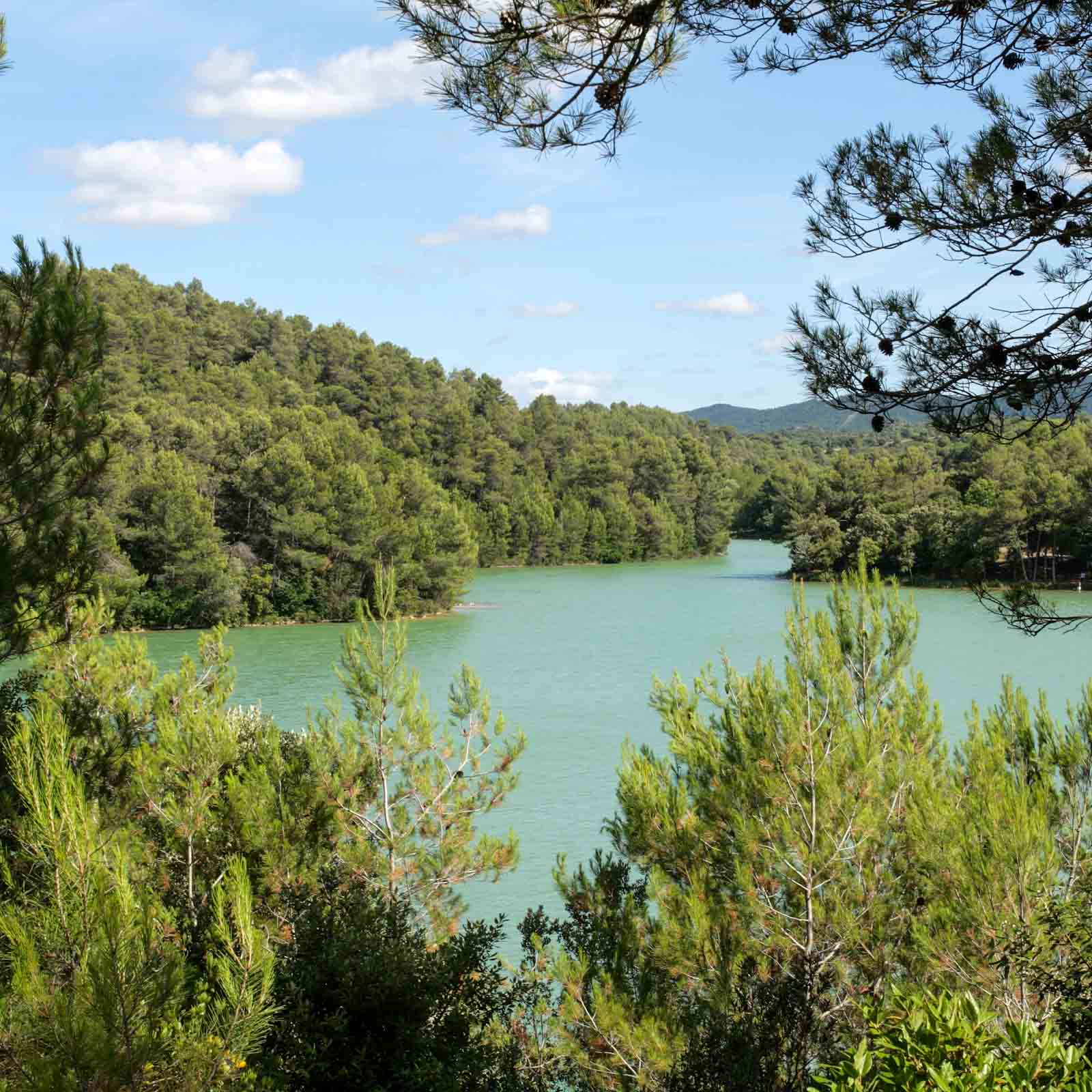 Lac de la Cavayère