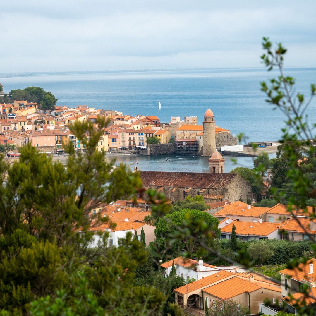 Collioure © collioureabsolute