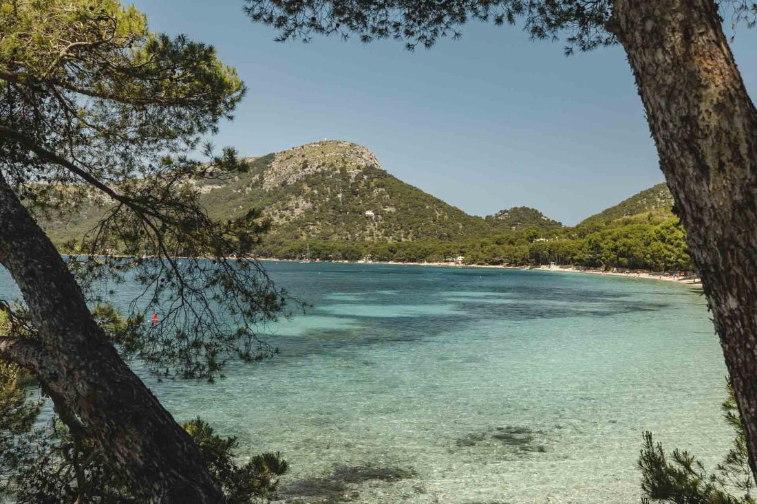 Le cadre enchanteur du resort, au cœur d’un bois côtier, se prête à la pratique japonaise du Shinrin-yoku