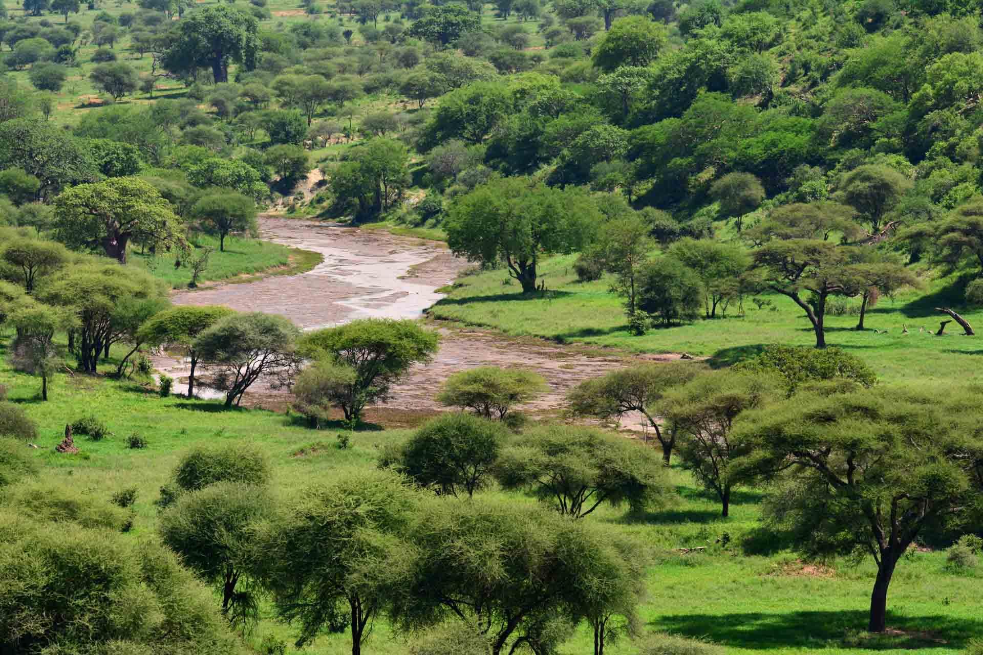 Un itinéraire en Tanzanie