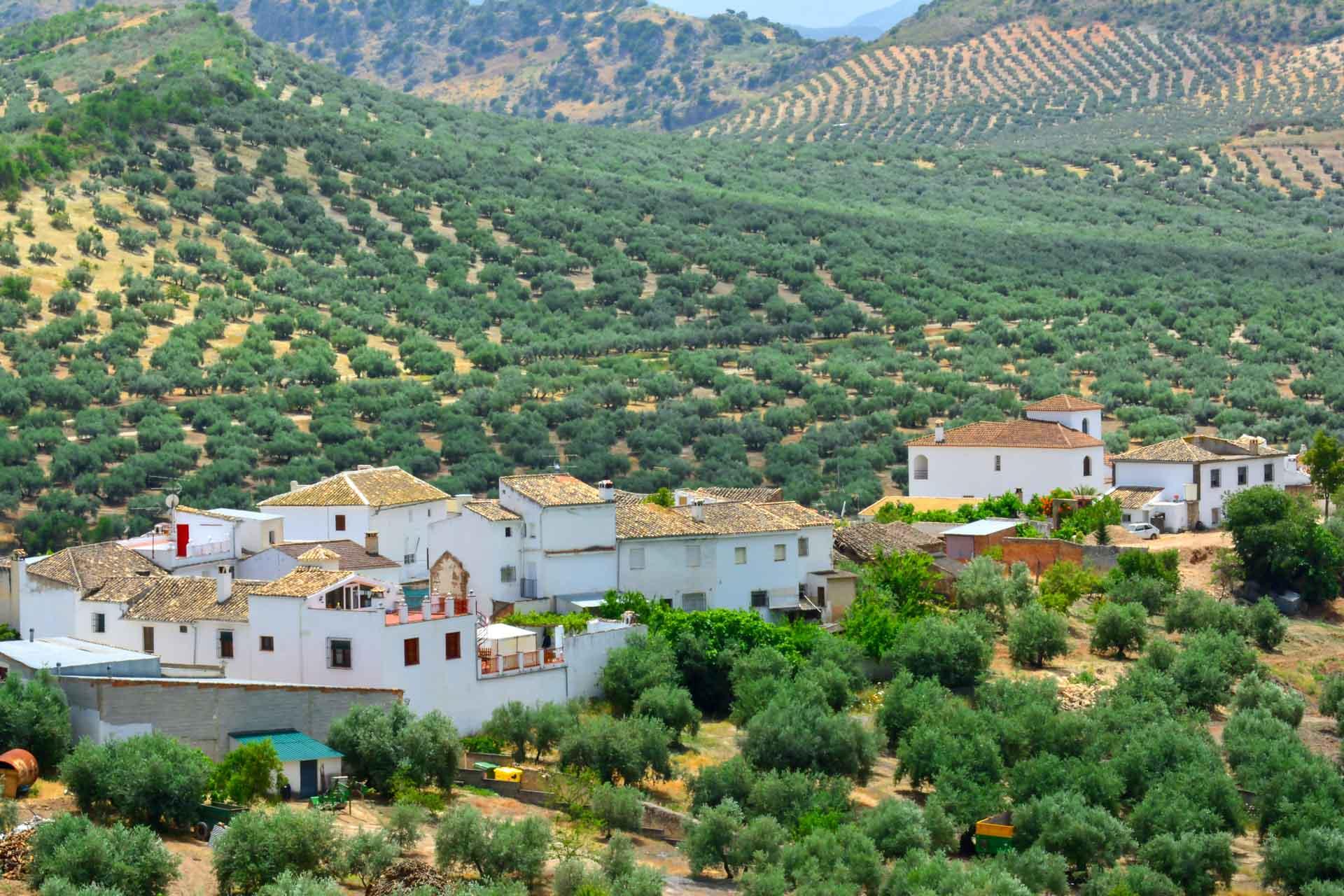 Visiter l’Andalousie - les villages blancs © Antoine Lorgnier