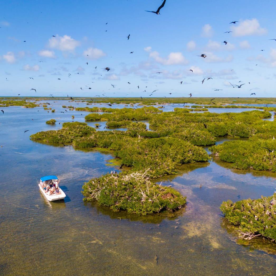 Codrington, lors d’une croisière à Antigua et Barbuda © Caltante