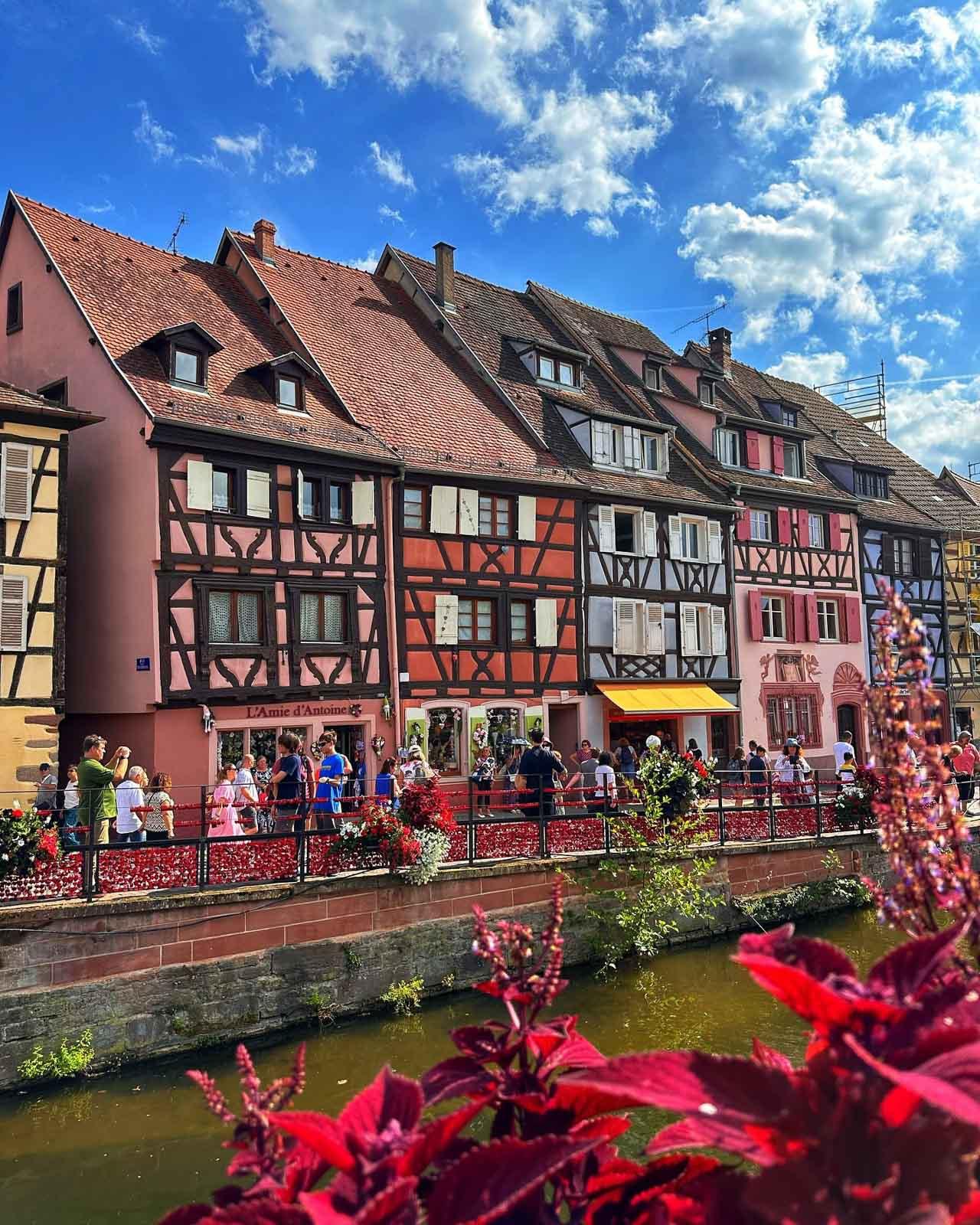 Colmar