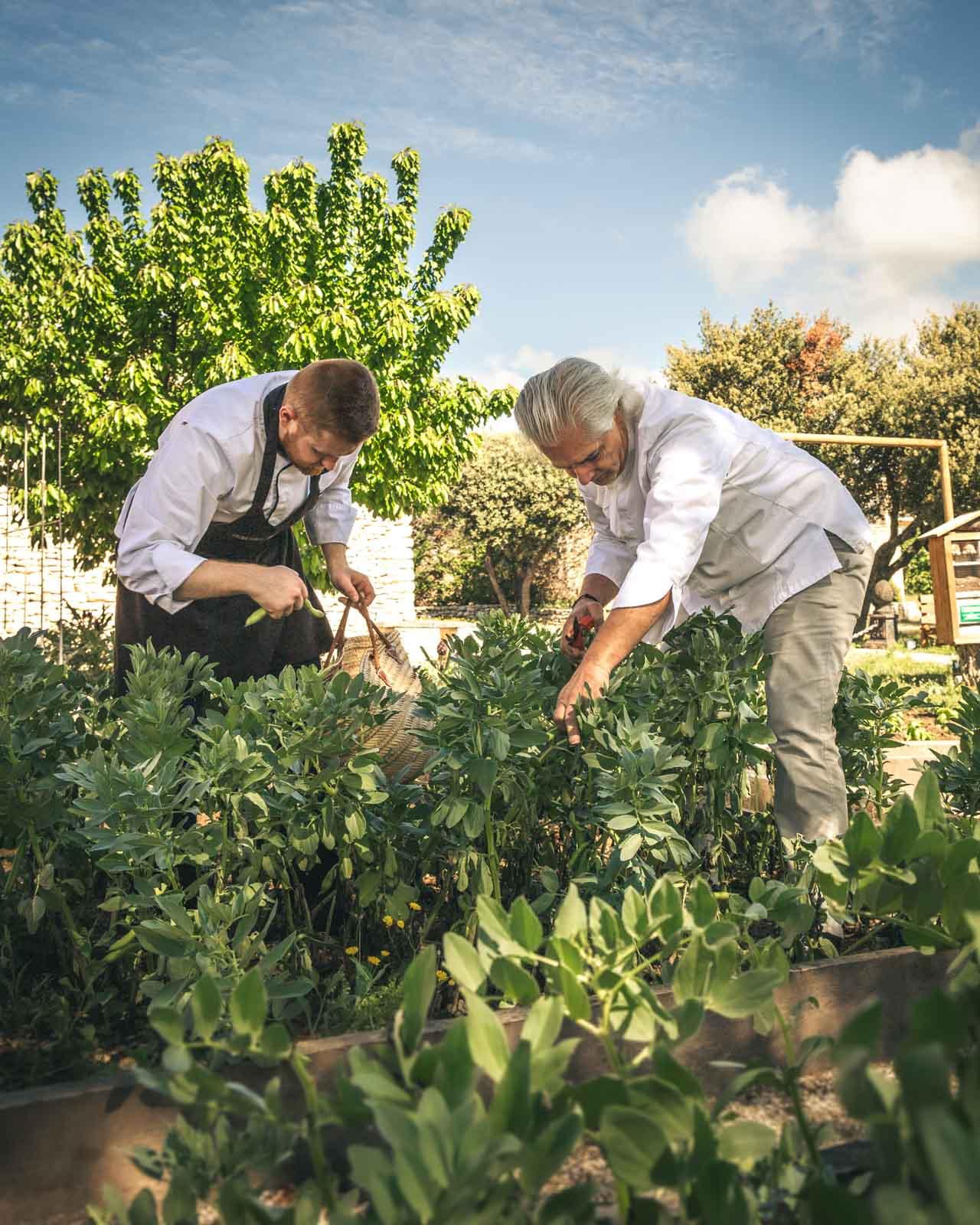 Le potager © Olivier Pascuito