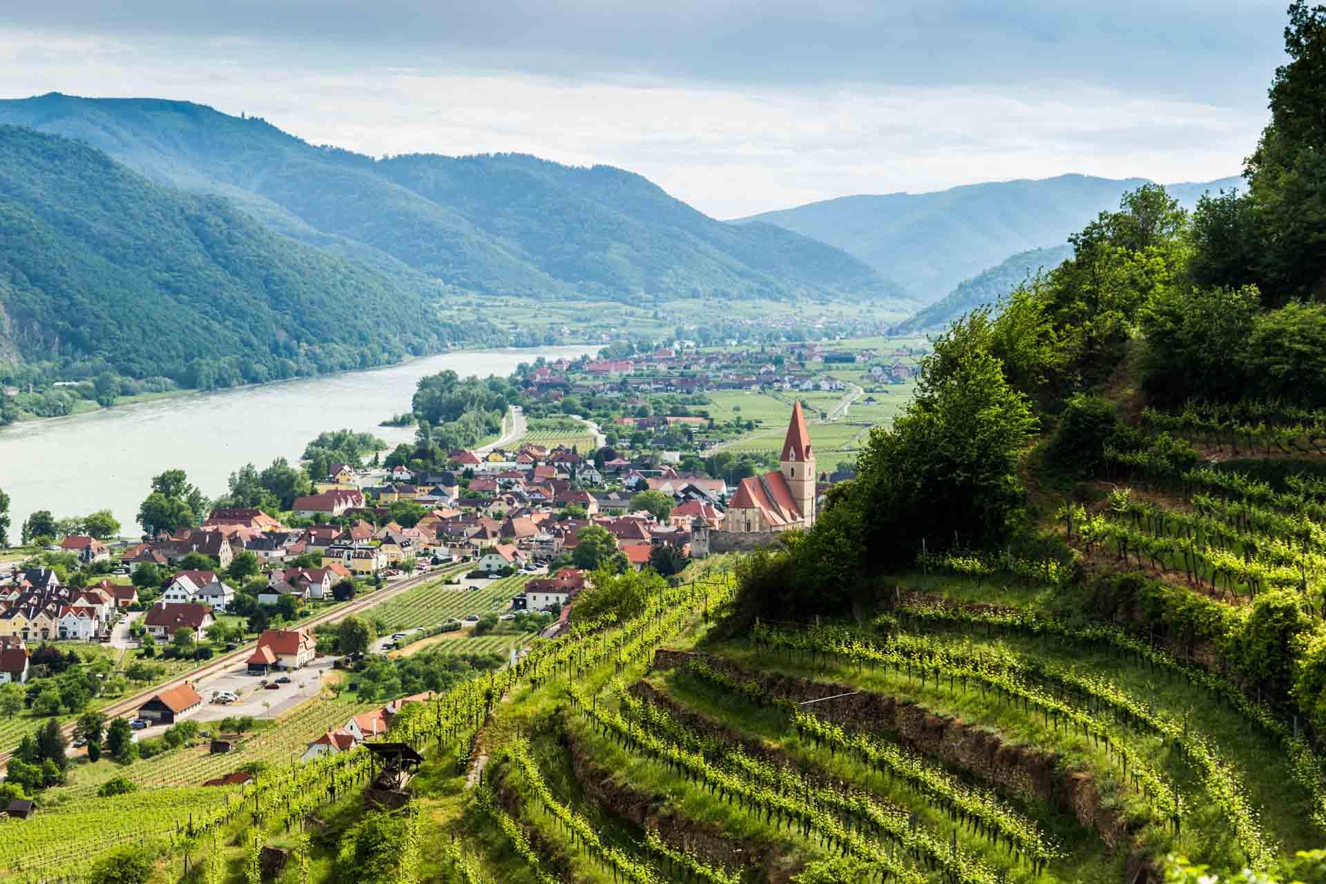 La Wachau et le Danube © Sergey Fedoskin AdobeStock