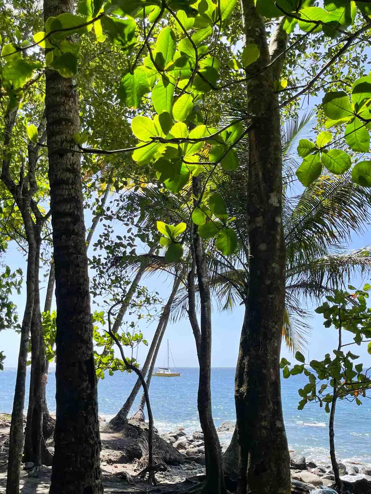 Sentier menant à l’Anse Couleuvre 