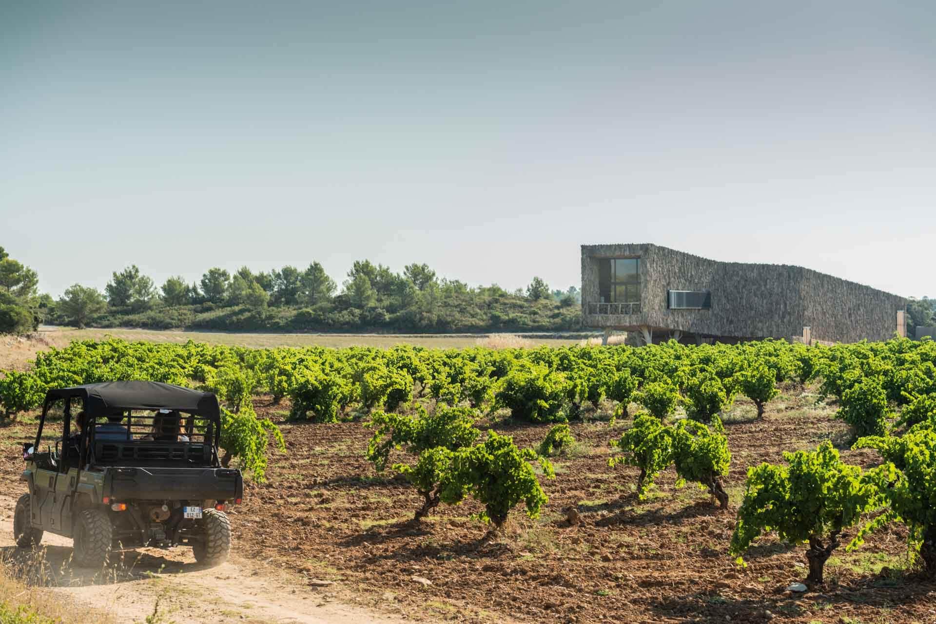 Le domaine de Castigno produit également du vin dans un chai d’architecte © DR