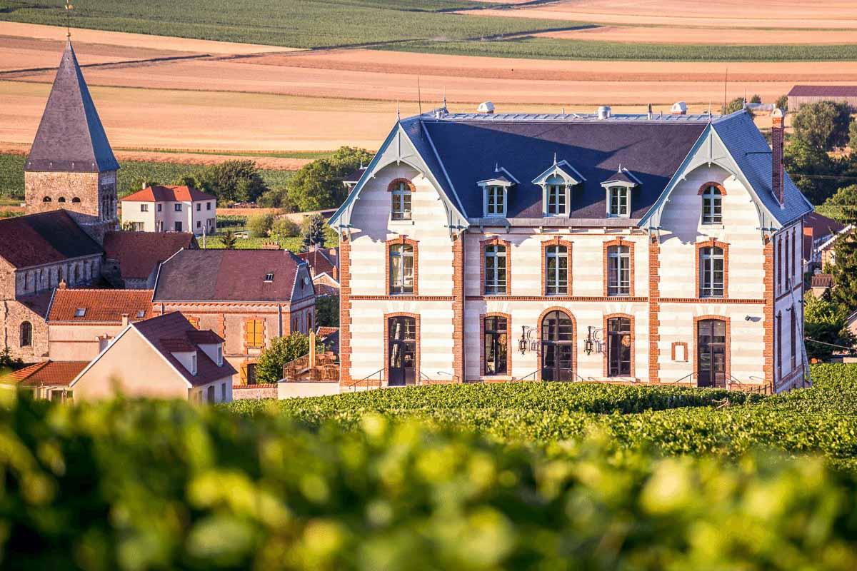 Le Château de Sacy, au milieu des vignes © DR