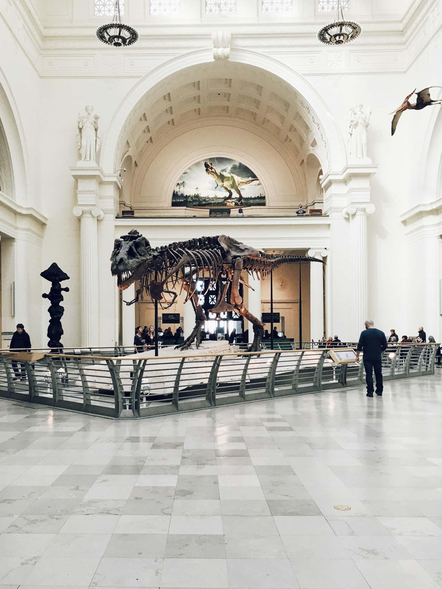 Musée d’histoire naturelle de Londres © DR