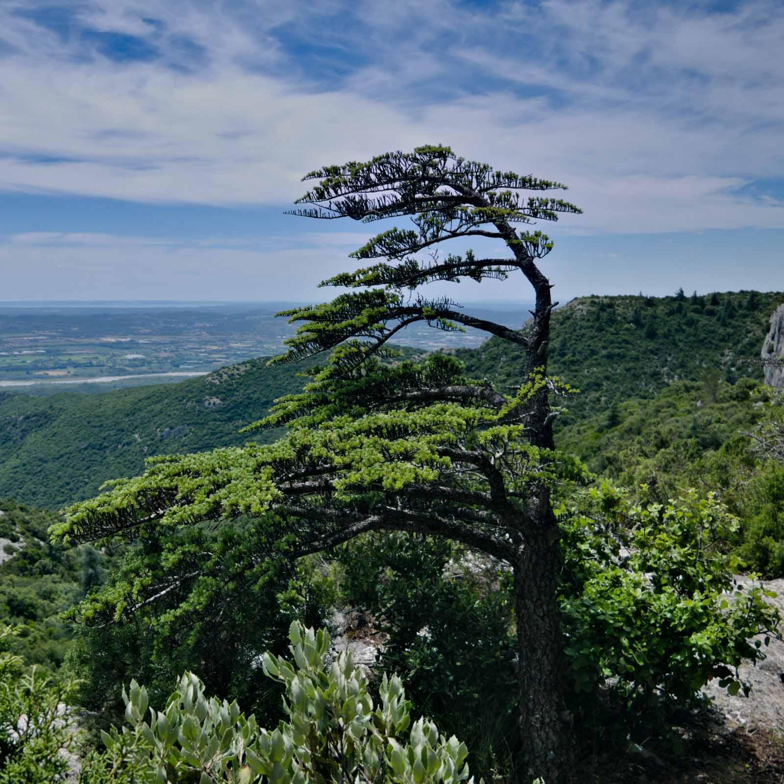 Itinéraire dans le Luberon © AdobeStock