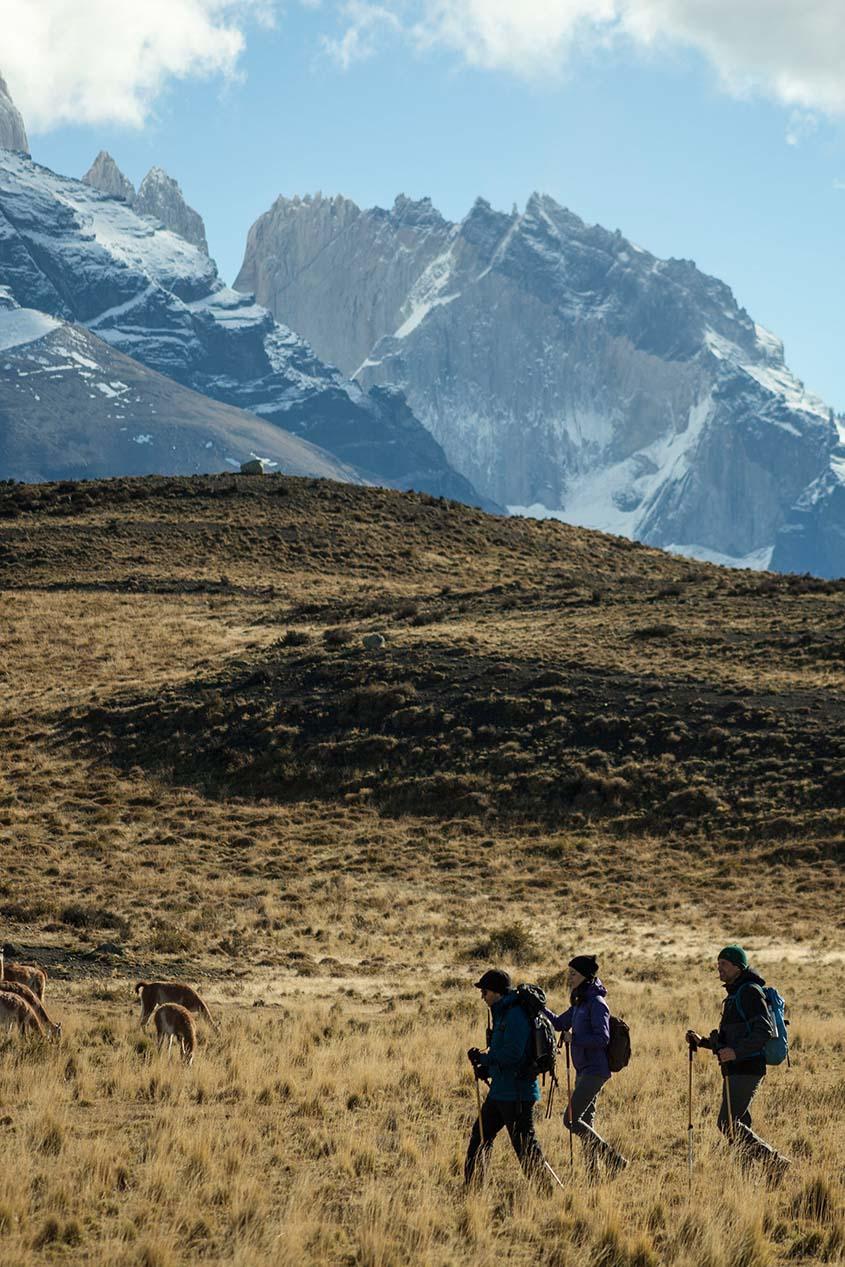 Dans le parc de Torres del Paine © Explora Patagonia