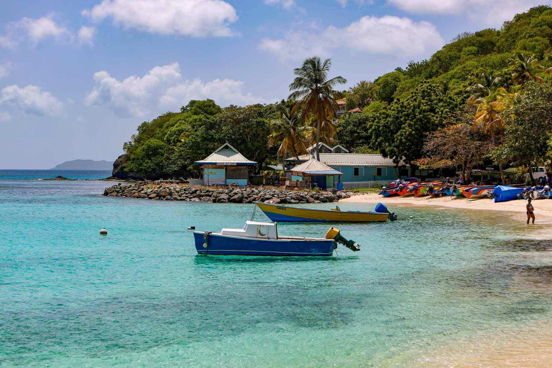 Île Moustique © AdobeStock