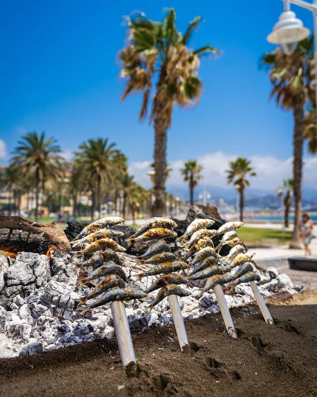 Les fameux espetos, sardines cuites au feu de bois sur la côte © @malagaturismo