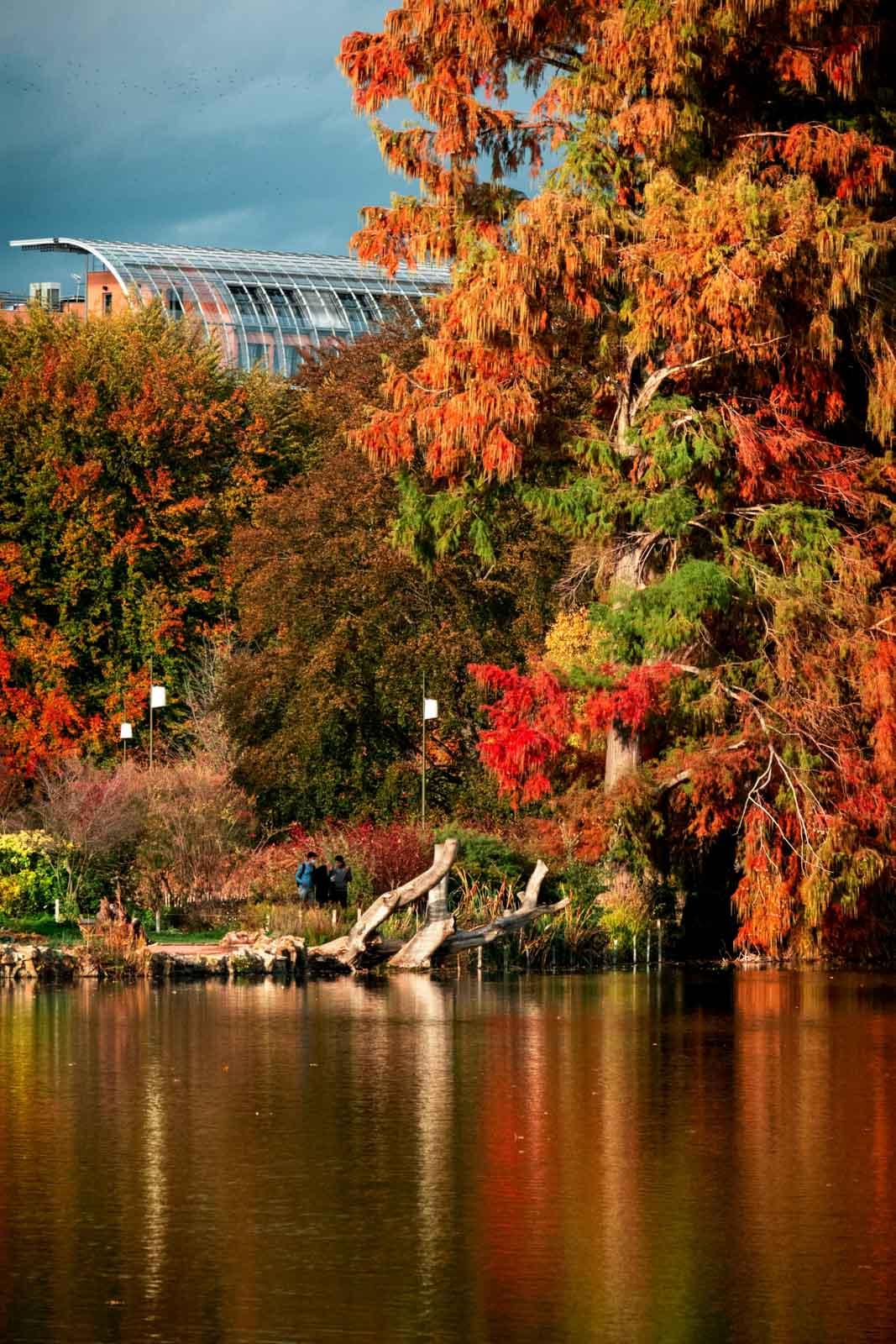 Parc de la tête d’Or © bastien-nvs