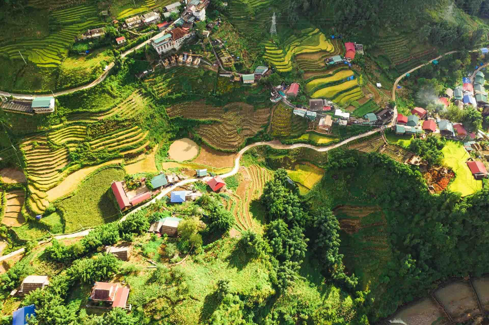 Les rizières de Sapa, immanquable quand on visite le Vietnam © Krisztian Tabori