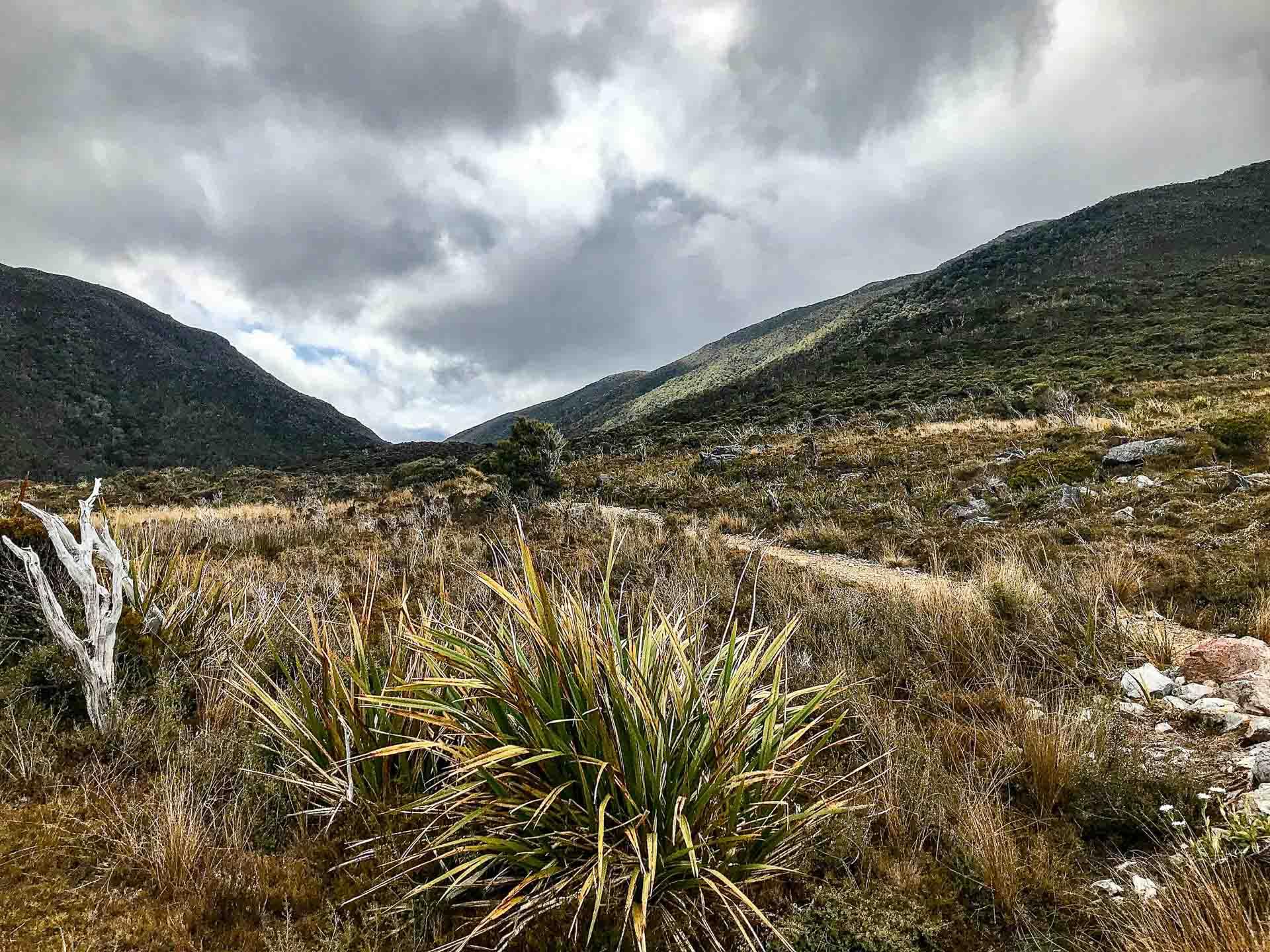 Kahurangi National Park © DR