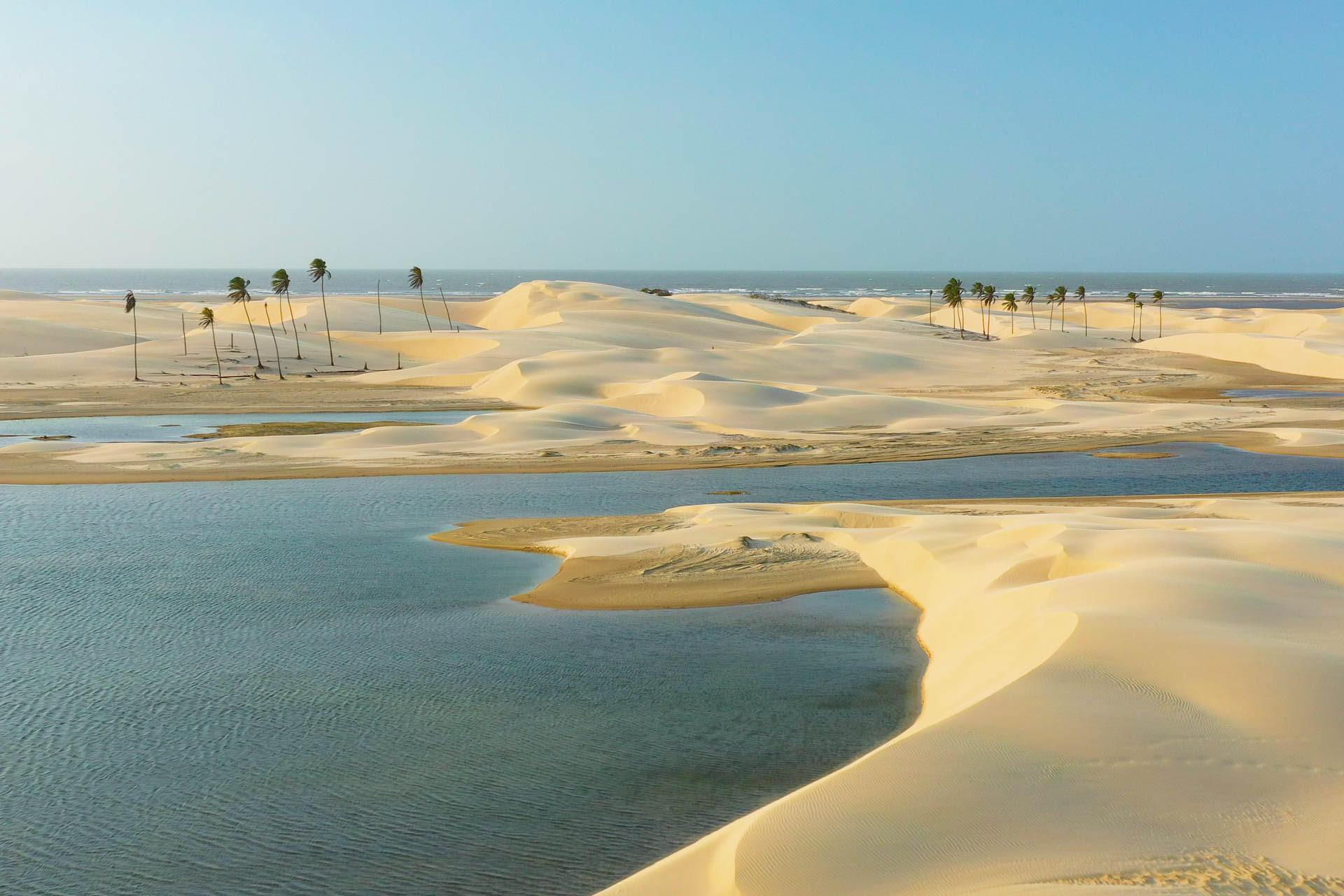  Parc National de Jericoacoara © DR