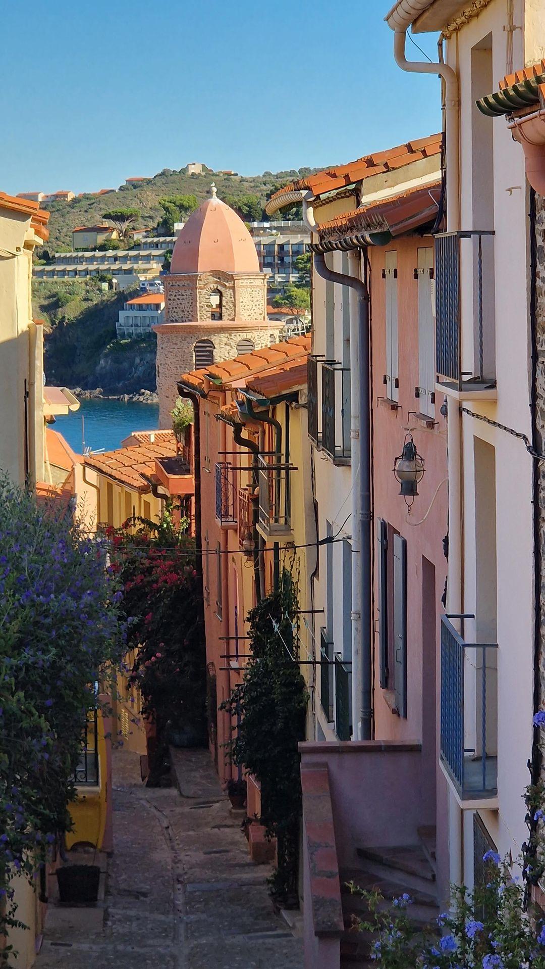 Collioure © collioureabsolute