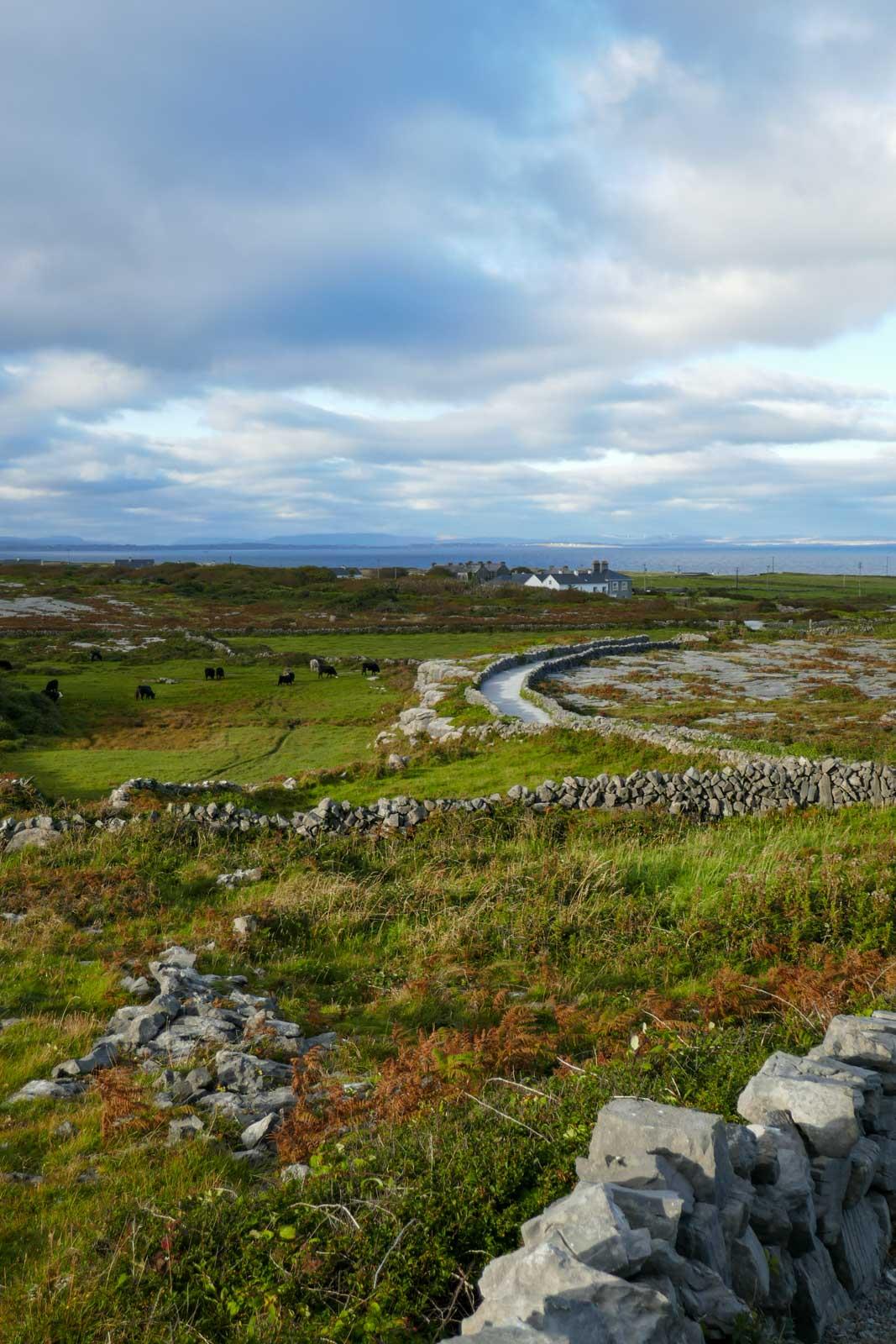 Sur notre itinéraire en Irlande, Inis Mor © PG