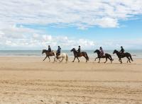 Que faire à La Baule pour un week-end de 2 ou 3 jours ? 