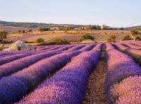 Notre itinéraire de 3 jours dans la Drôme provençale