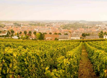 Visiter Épernay, que faire dans la capitale du champagne en un week-end ?