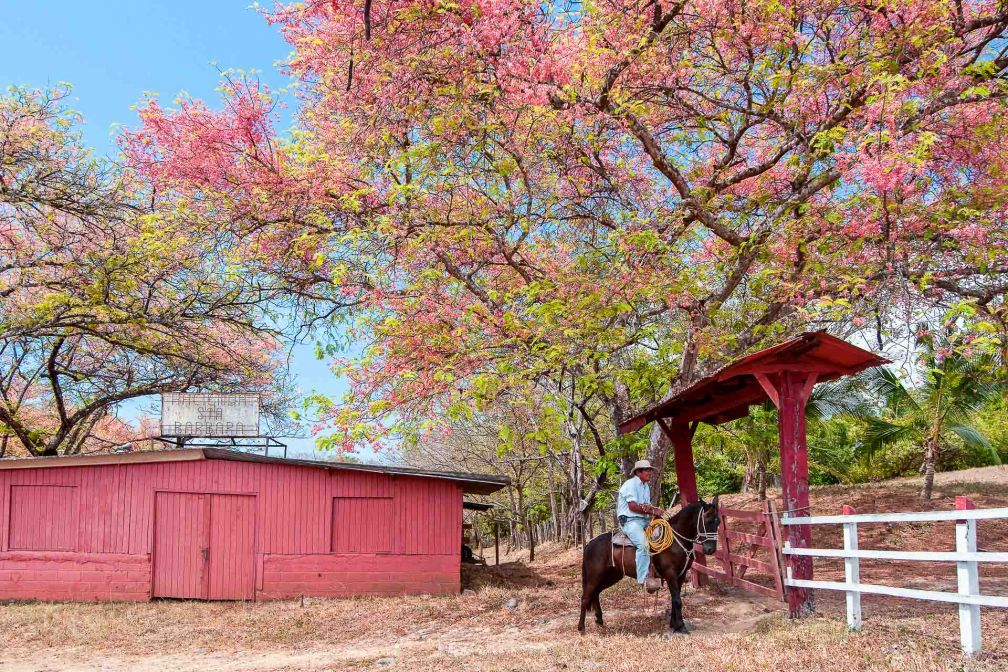 Les 5 Visites Incontournables Du Guanacaste Costa Rica