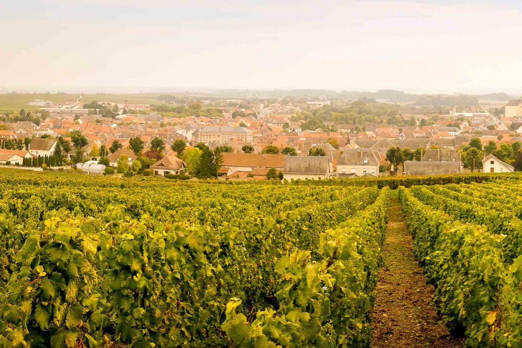 Bordée d’un paysage de vignes à perte de vue, traversée par la majestueuse avenue de Champagne classée à l'UNESCO, Epernay est une destination de choix pour qui veut allier gastronomie, culture, patrimoine et nature. Nos suggestions de visites et bonnes adresses.