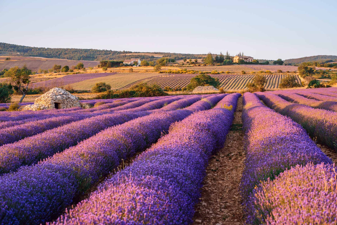 Notre itinéraire dans la Drôme provençale en 3 jours © AdobeStock