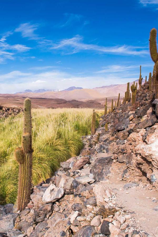 Un hôtel au Chili; le Nayara Alto Atacama