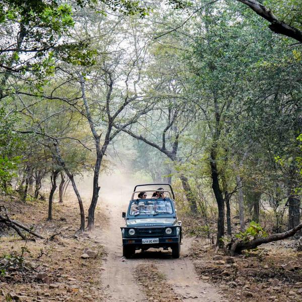 Safari en jeep dans le parc © YONDER.fr