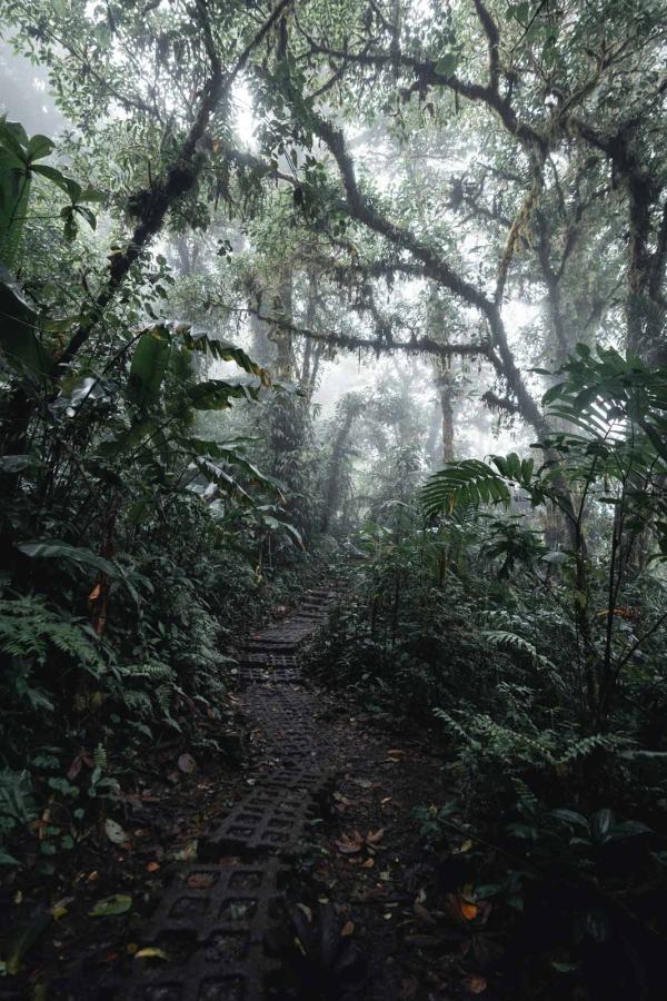 Itinéraire au Costa Rica