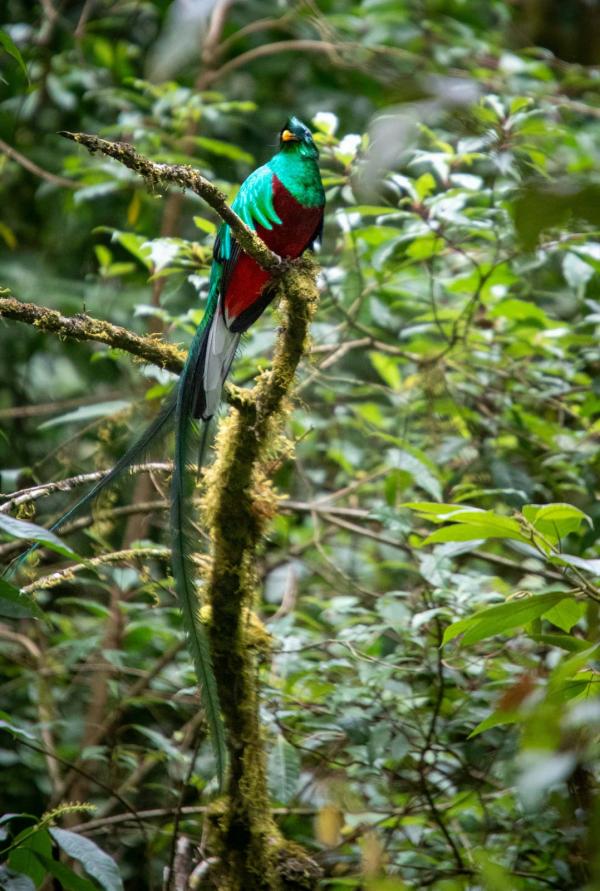 Itinéraire au Costa Rica