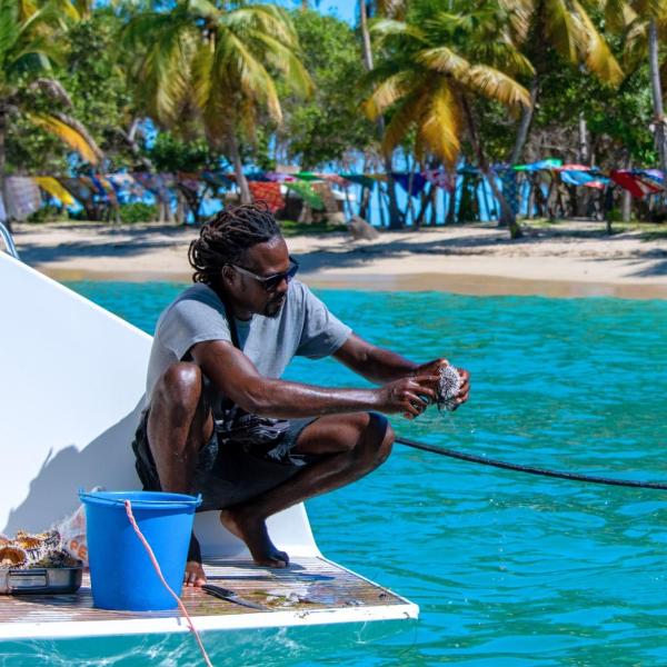 Une croisière dans les Caraïbes aux Grenadines © Catlante