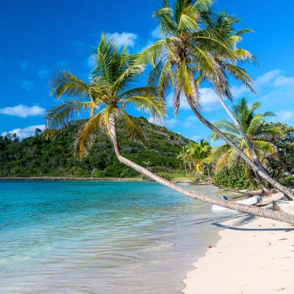 Une croisière dans les Caraïbes aux Grenadines © Catlante