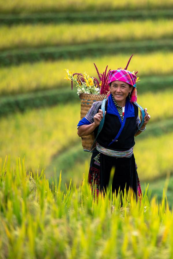 Les Hmongs © Adobestock