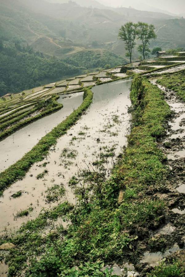 Sapa © Daniel Burka