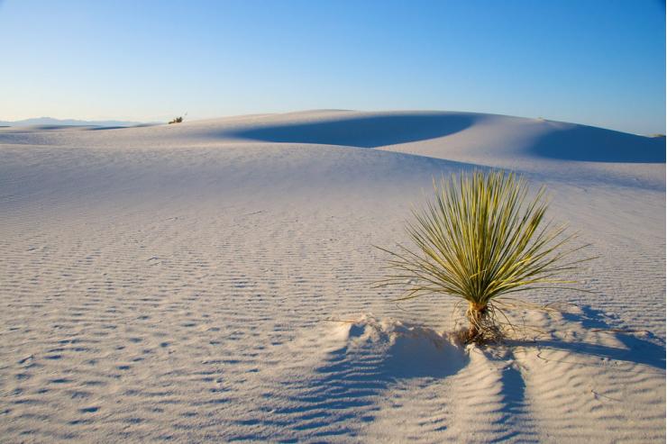 White Sands, Nouveau Mexique, Etats-Unis