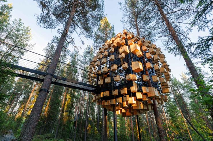 Tree Hotel