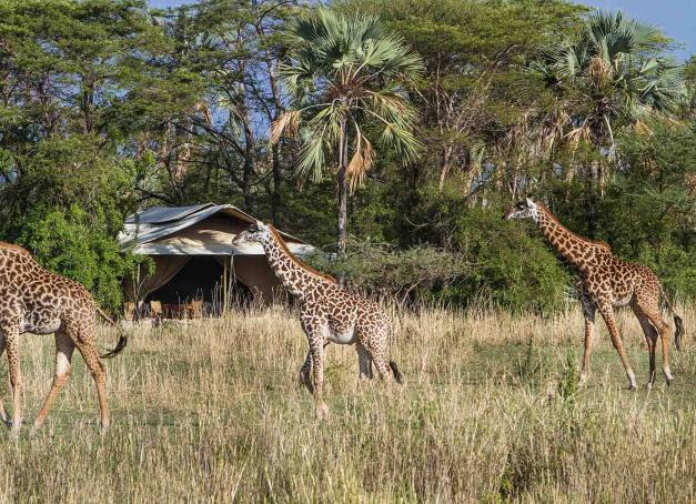 Sur les côtes de l'Afrique de l'Est, la Tanzanie est dominée par le Kilimandjaro et compte parmi les plus belles réserves naturelles du continent. La rédaction de Yonder a sélectionné les plus beaux hôtels 5 étoiles en Tanzanie pour un séjour entre lacs et savanes. 